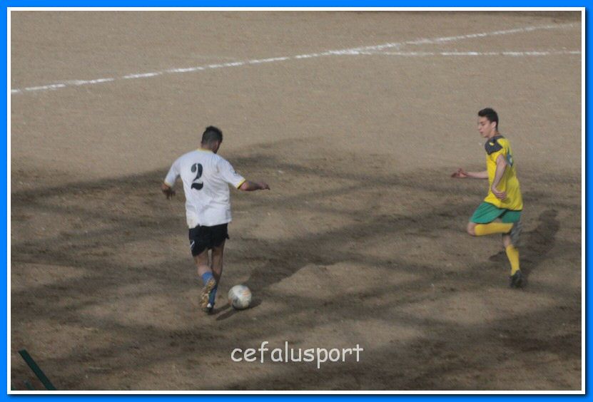 130406 delfini 167_tn.jpg